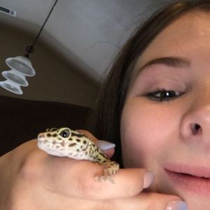 Meet your Posher, Global